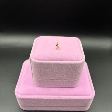 Women LA nose ring 14k gold plated