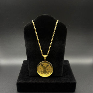 Men Stainless steel centenario pendant and chain￼